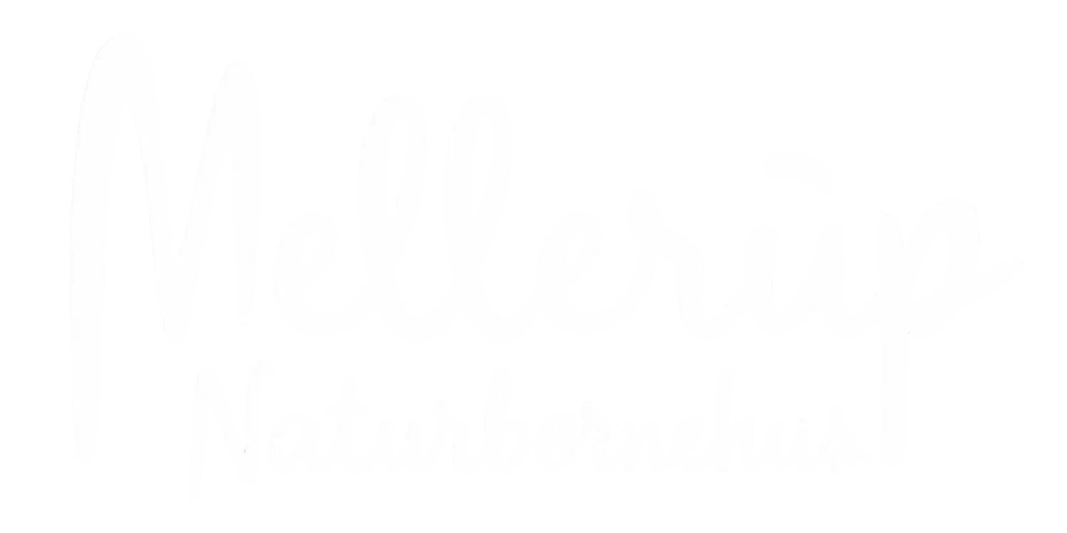 naturbørnehus_logo